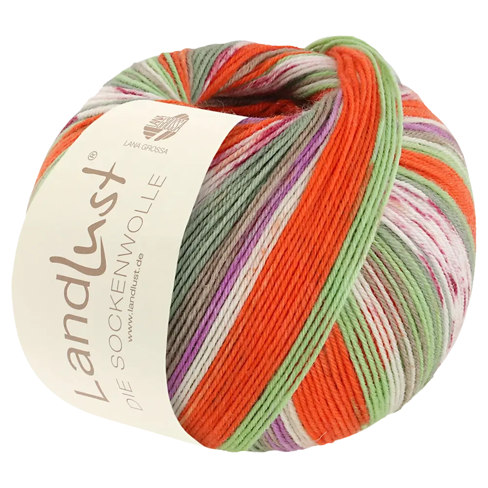 #Farbe_Lana Grossa Landlust die Sockenwolle 4-fach | 313