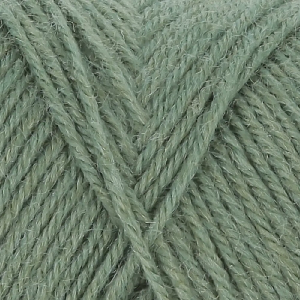 #Farbe_Lang Yarns Jawoll Silk | 193 Efeu
