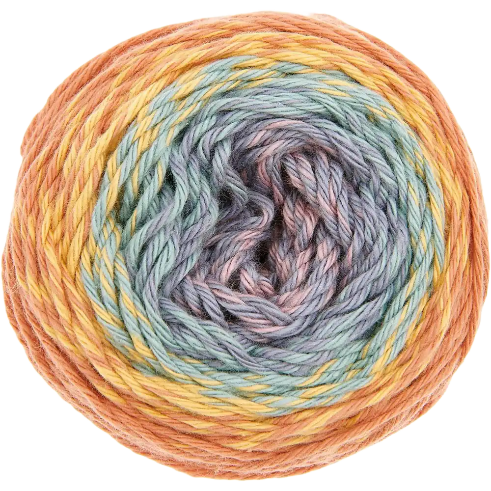 #Farbe_ Rico-Design Ricorumi Spin Spin dk | 019 Earthy Rainbow