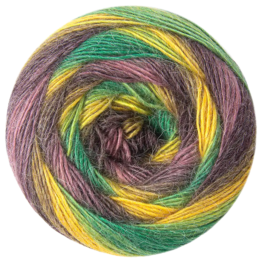 #Farbe_Frida's 33te | 7705